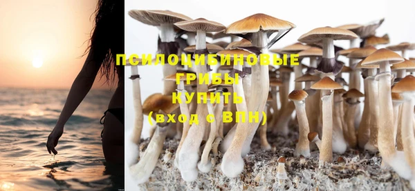 синтетический гашиш Ельня