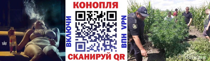 Купить  Кукмор  Бошки Шишки гибрид 